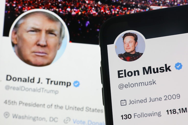 Donald Trump and Elon Musk twitter pages